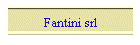 Fantini srl