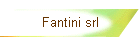 Fantini srl