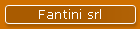 Fantini srl