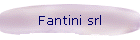 Fantini srl