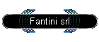 Fantini srl