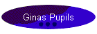 Ginas Pupils